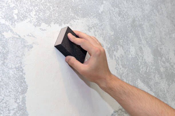Reliable Daisetta, TX Mold Removal Solutions
