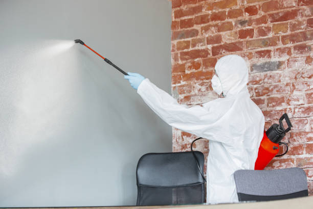 Best Residential Mold Inspection & Testing  in Daisetta, TX