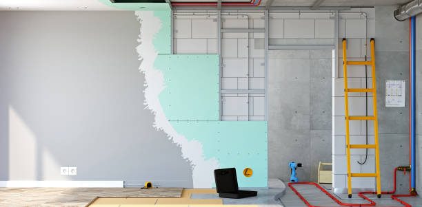 Best Commercial Mold Inspection  in Daisetta, TX