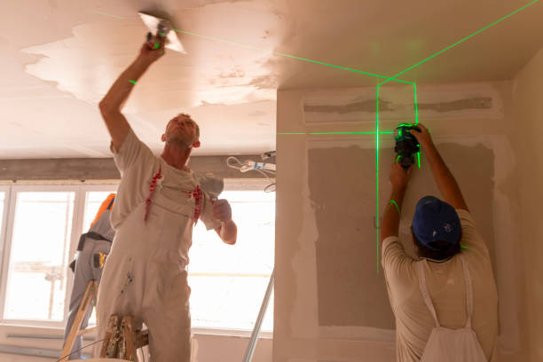 Best Attic Mold Removal  in Daisetta, TX