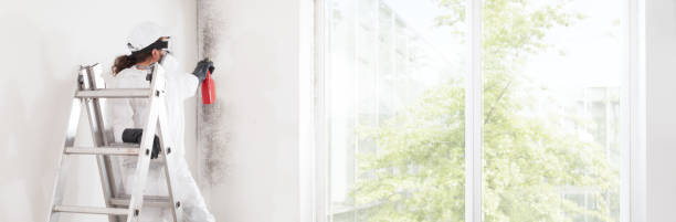 Mold Remediation for Rental Properties in Daisetta, TX